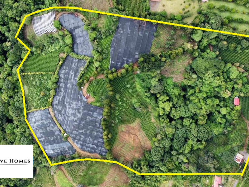 0 bed Farm And Ranch For Sale in Grecia,  - 1